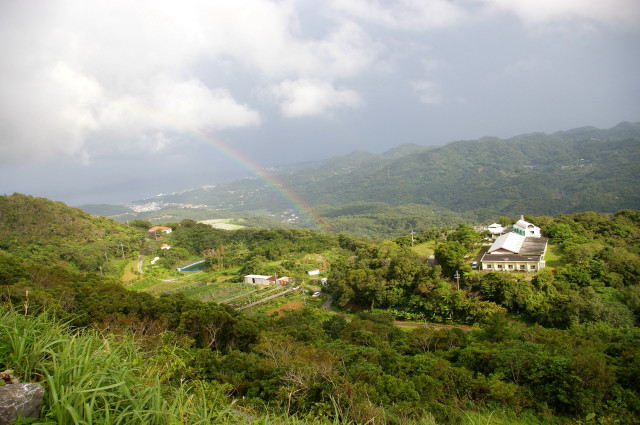 癒しの散歩道の画像