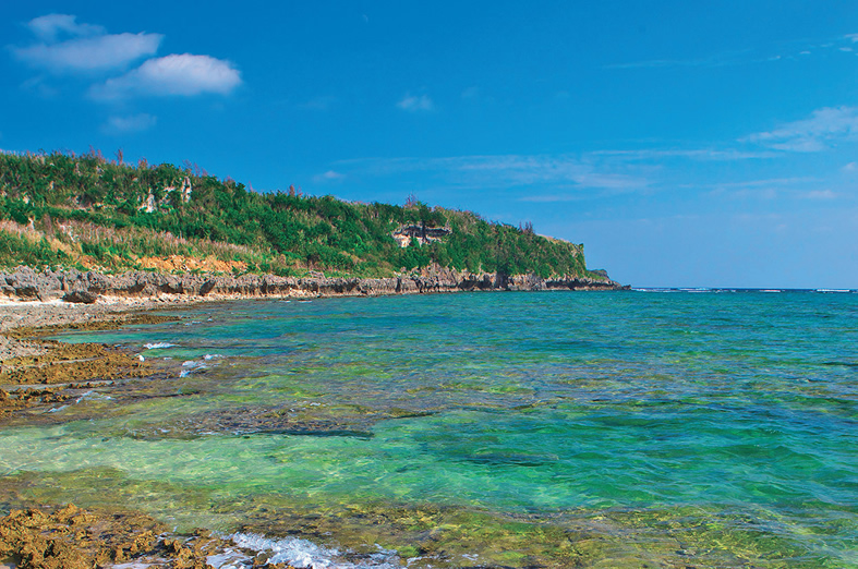 大度浜海岸の画像