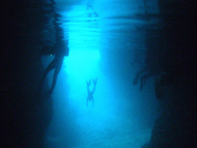 青の洞窟ボートツアー専門店 スパークルの画像