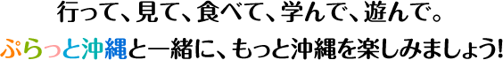 行って、見て、食べて、学んで、遊んで。ぷらっと沖縄と一緒に、もっと沖縄を楽しみましょう！