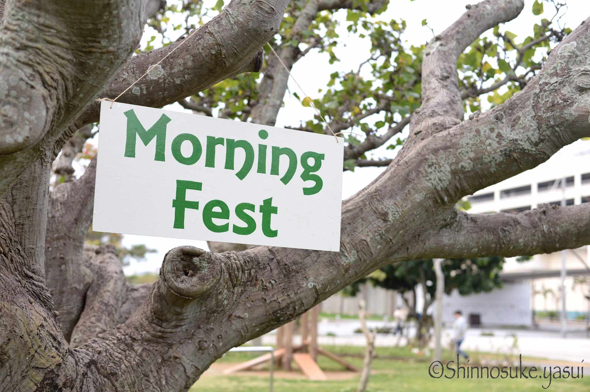 Morning Fest Okinawa 2024winterの画像