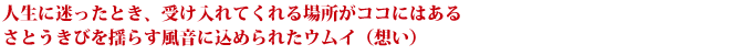 人生に迷ったとき、受け入れてくれる場所がココにはある さとうきびを揺らす風音に込められたウムイ（想い）　