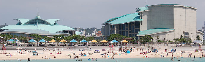 トロピカルビーチ ぷらっと沖縄 沖縄の「見たい」「楽しみたい」に応える地域密着型情報サイトです