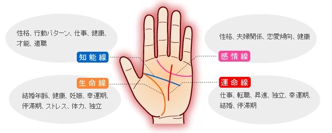 ４大基本線