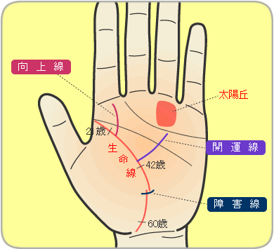 <向上線>・<開運線>・<障害線>