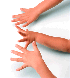 手の大きい小さい指の長さ短さ
