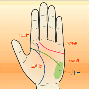 自分では気付かない秘められた才能１