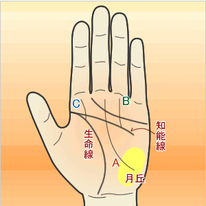 こんな手相の向く職業