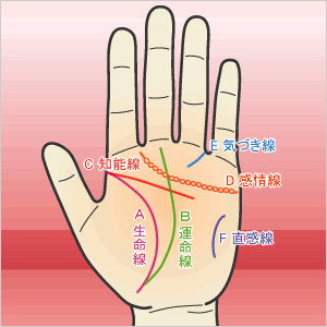 手相から見る性格や向いている職業
