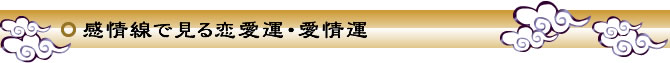 感情線で見る恋愛運・愛情運