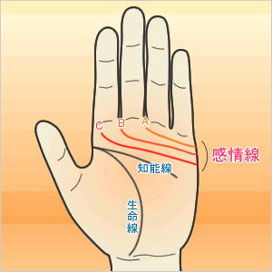 感情線