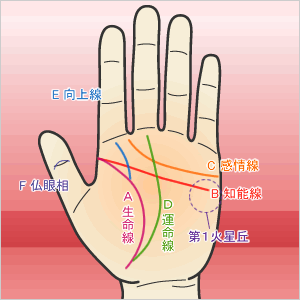 手相から見る性格や向いている職業