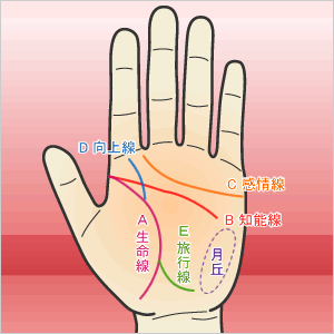 手相から見る性格や向いている職業