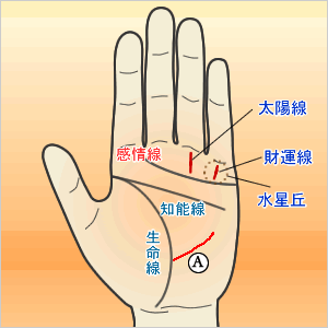 金運の見るポイント