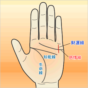 感情線をまたぐ財運線