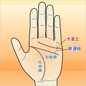 知能線から水星丘に上る財運線