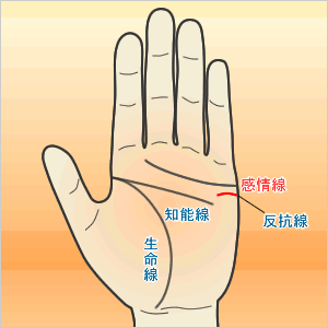 反抗線(主張線)