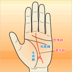 運命十字線