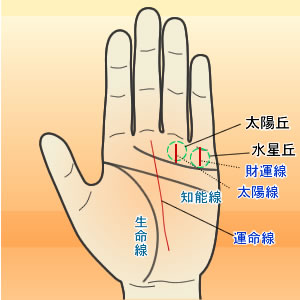 手相の見方