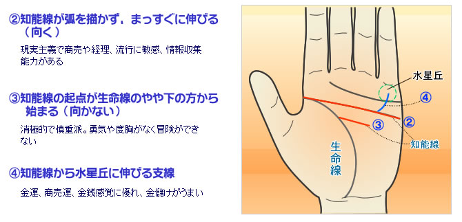 第2回 ギャンブラー 投資家に向く手相とは 発見 琉球手相術の祖2 ぷらっと沖縄 沖縄の 見たい 楽しみたい に応える地域密着型情報サイトです