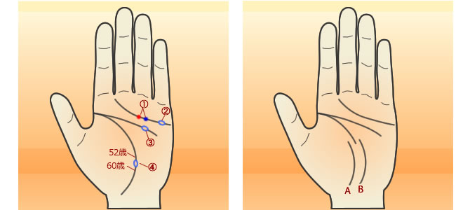 手相で見る健康
