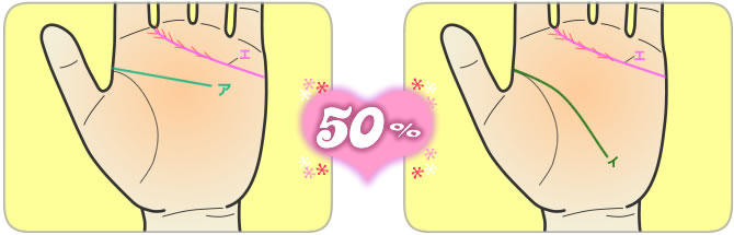 相性50%