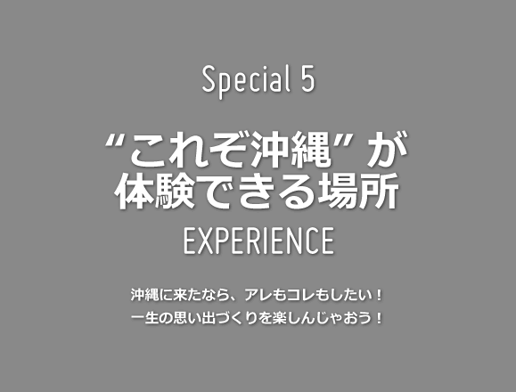 special05 ”これぞ沖縄”が体験できる場所